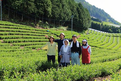 今西製茶　写真（家族）.jpg