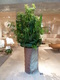 「REPUBLIC OF FRITZ HANSEN STORE AOYAMA」 OPENまでの記録⑤