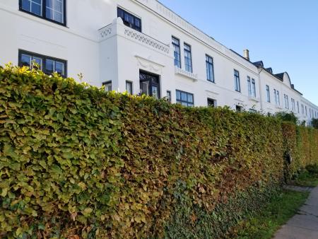 20180913_085602.jpg
