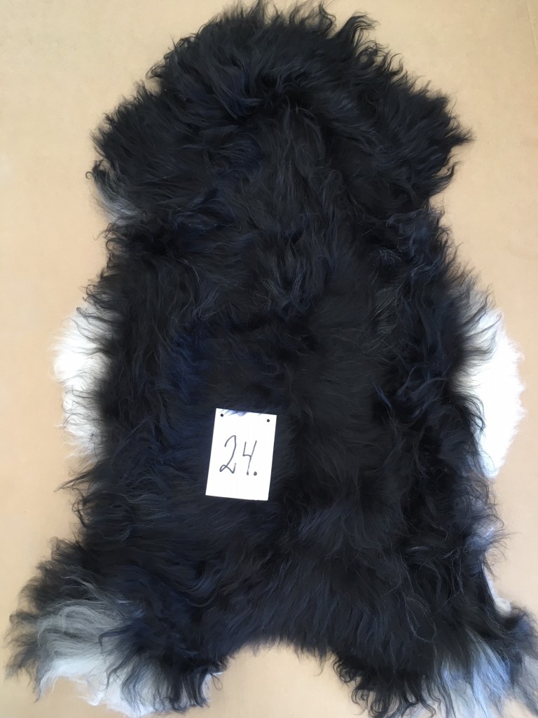 pp225