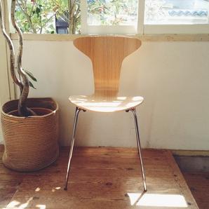 ムンケゴーチェアたちがついに入荷しました！