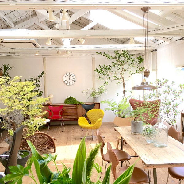 グランドオープン in Forest