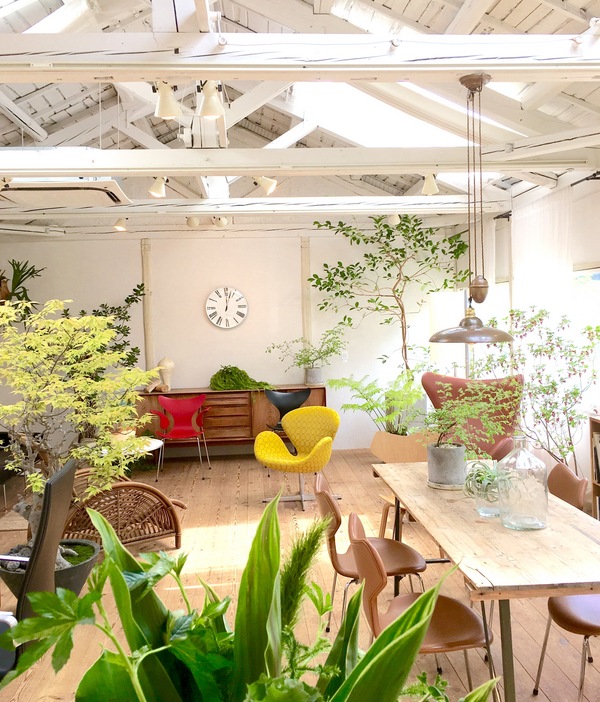 グランドオープン in Forest