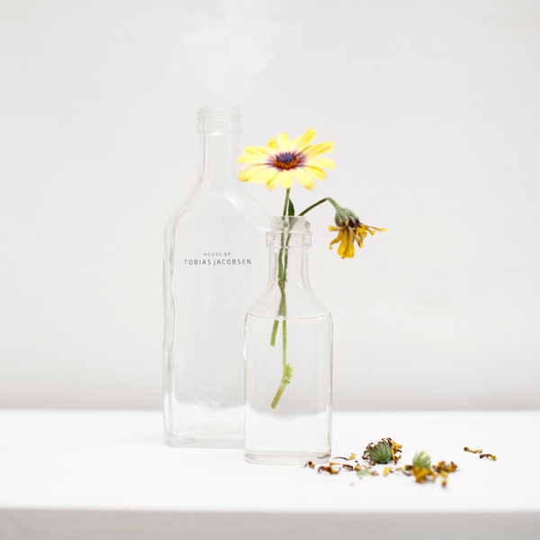 朽ちた物が好き