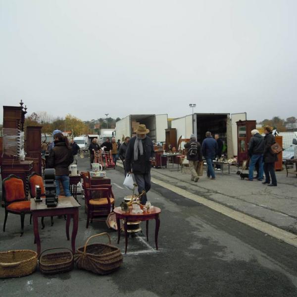 今週はいよいよ...