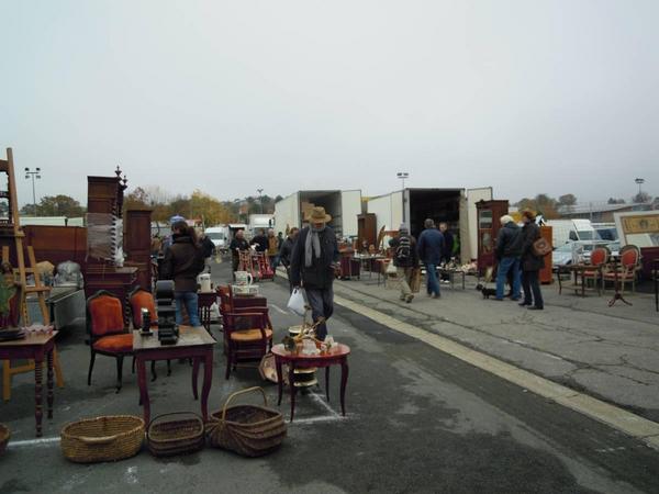 今週はいよいよ...