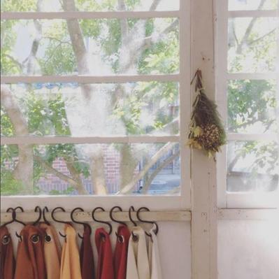 やっと晴れ間が◎