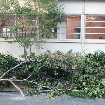 ヤコブセンの景色