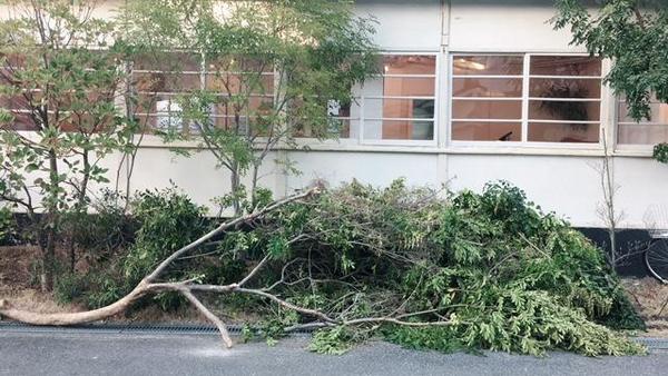 ヤコブセンの景色