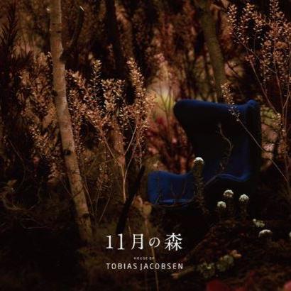 【EVENT】11月の森　～ petale Hitomi Nakamura ～