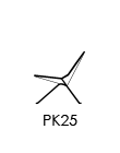 PK25